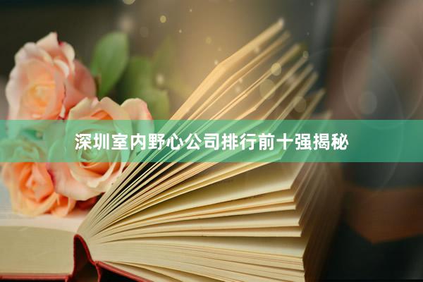 深圳室内野心公司排行前十强揭秘