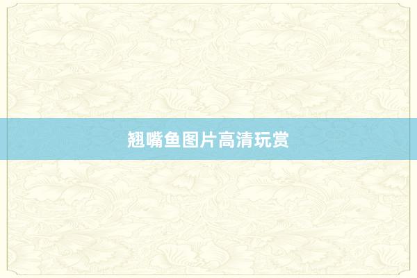 翘嘴鱼图片高清玩赏