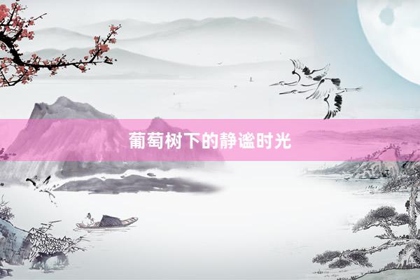葡萄树下的静谧时光