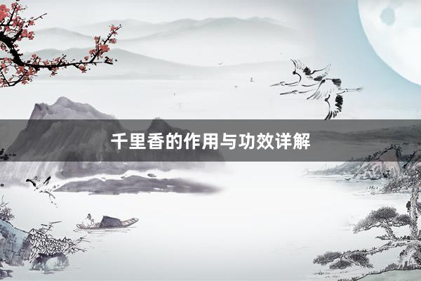 千里香的作用与功效详解