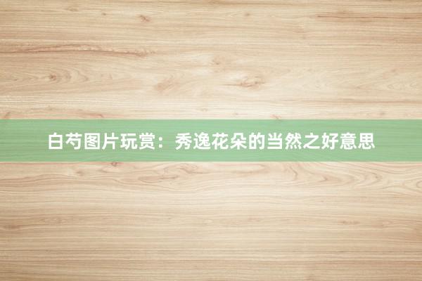 白芍图片玩赏：秀逸花朵的当然之好意思
