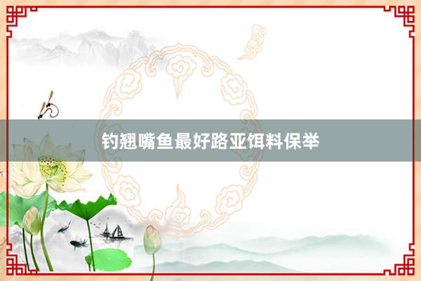 钓翘嘴鱼最好路亚饵料保举